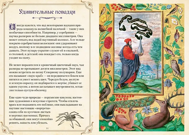 Книга Магические животные. Легенды и суеверия (Дениз Кроль-Терзаги) — 13