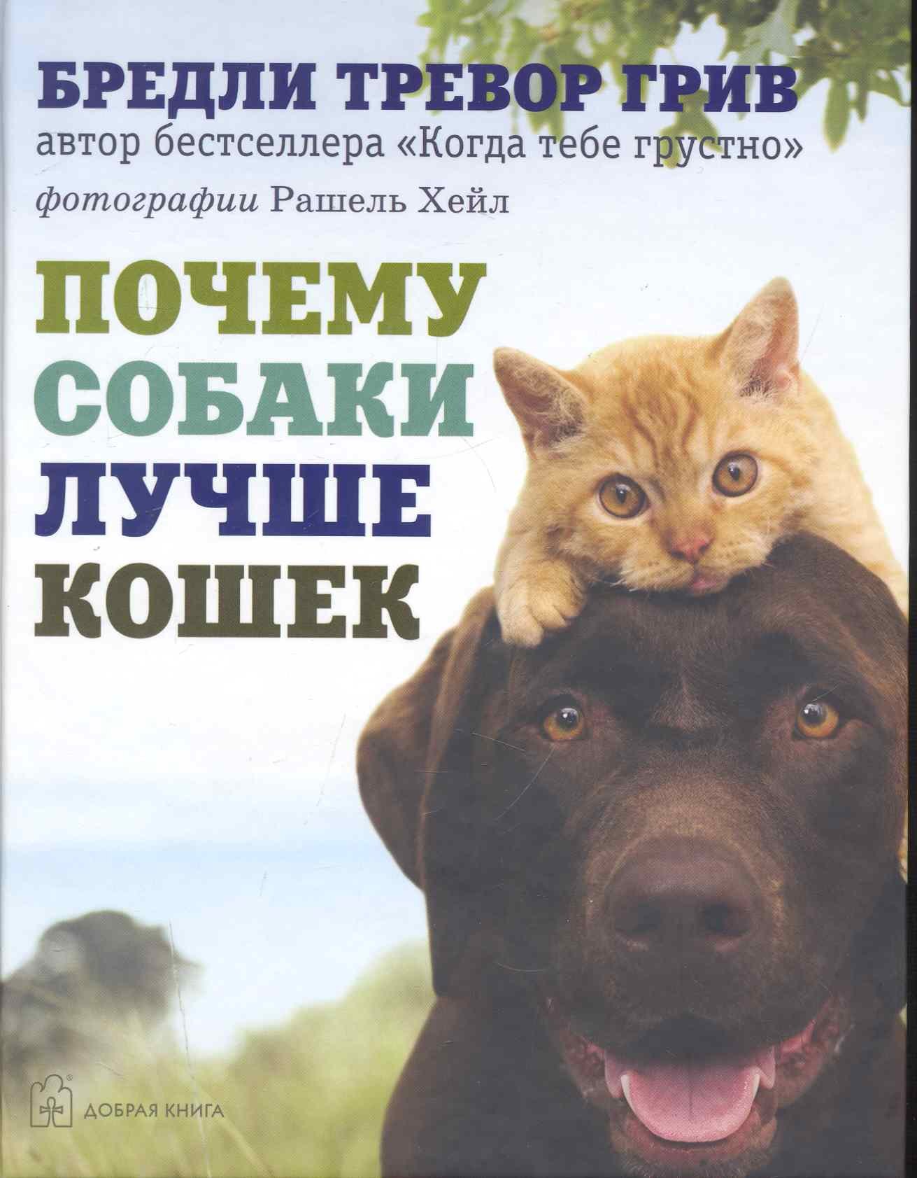 

Почему собаки лучше кошек