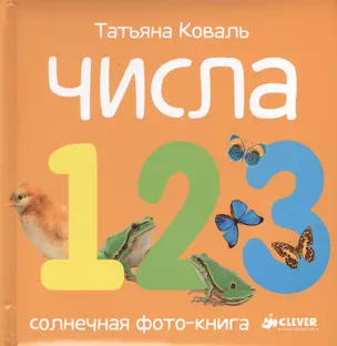 Числа. Солнечная фото-книга — 2425587 — 1