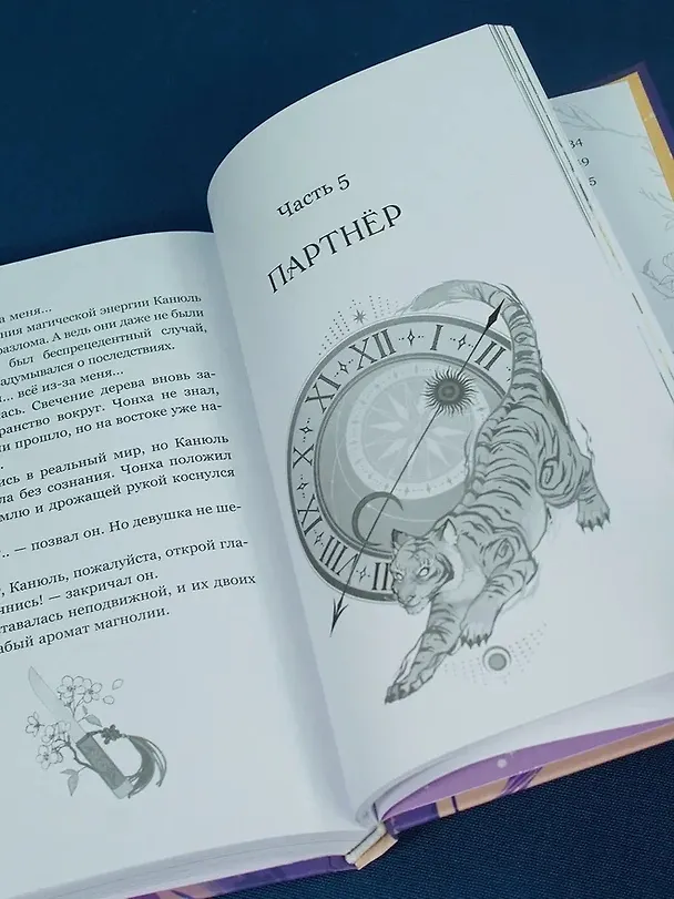Книга Маги Каона. Академия между мирами (Эстер Пак) — 14