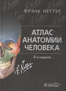 Атлас анатомии человека. Неттер. 6-е изд.