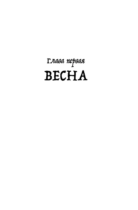 Книга Брат мой Бзоу (Евгений Рудашевский) — 5
