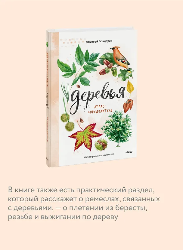 Книга Деревья. Атлас-определитель (Алексей Бондарев) — 6