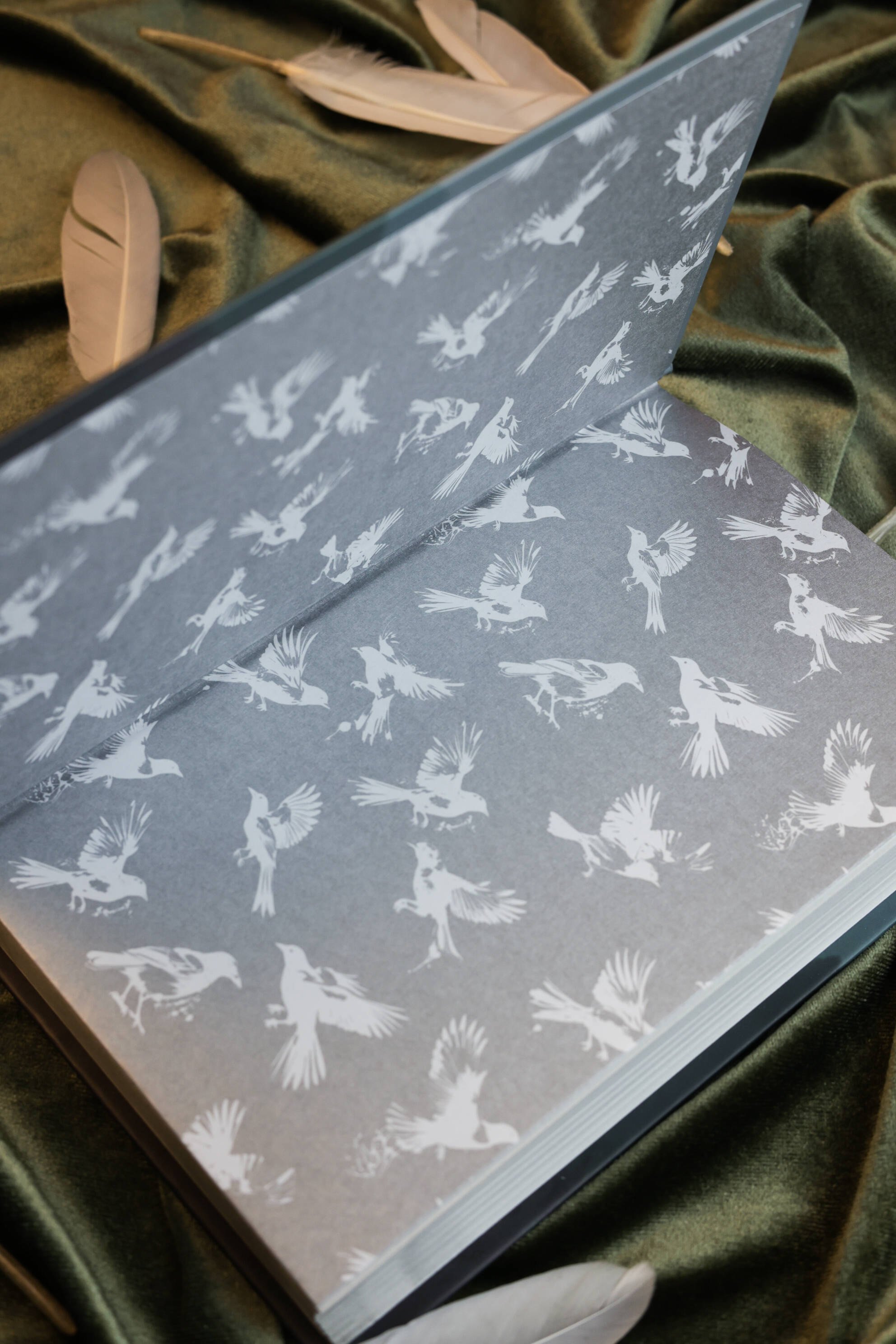 Изображение бумажной книги