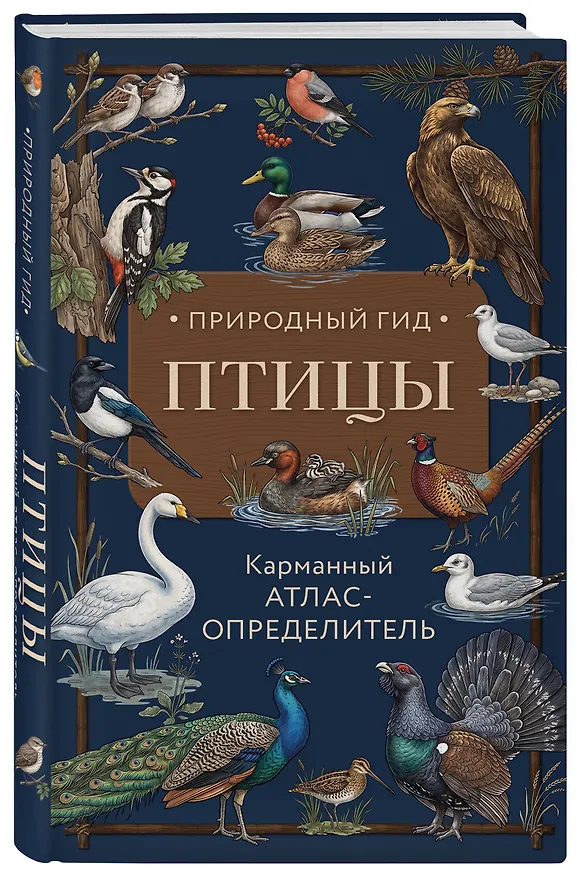 Книга Птицы. Карманный атлас-определитель (Николай Вереницын) — 4