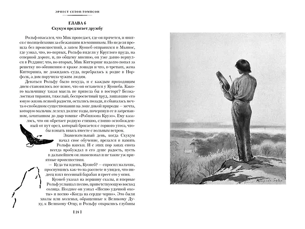 Книга Рольф в лесах. Лесные рассказы (Эрнест Сетон-Томпсон) — 27