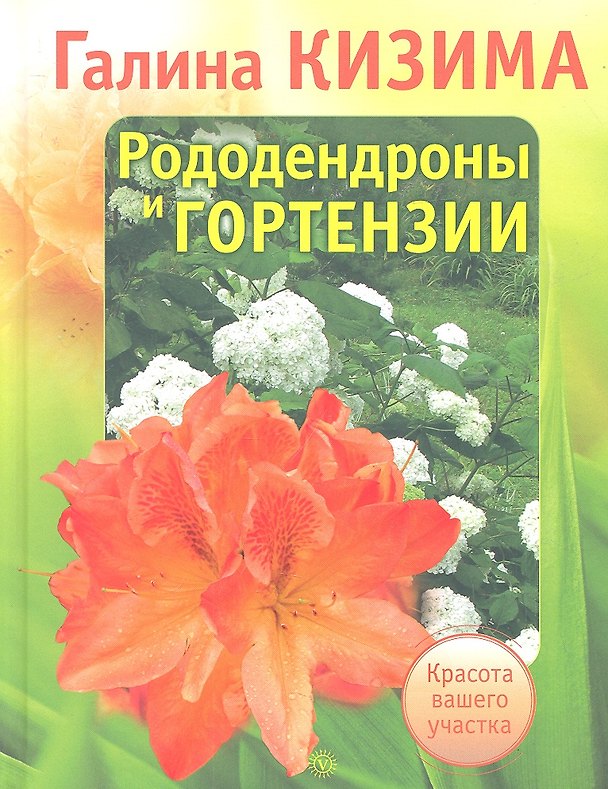 Книга Рододендроны и гортензии (Галина Кизима) — 1