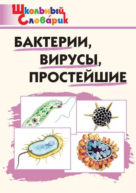 None Бактерии, вирусы, простейшие. Начальная школа
