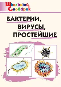 Бактерии, вирусы, простейшие. Начальная школа