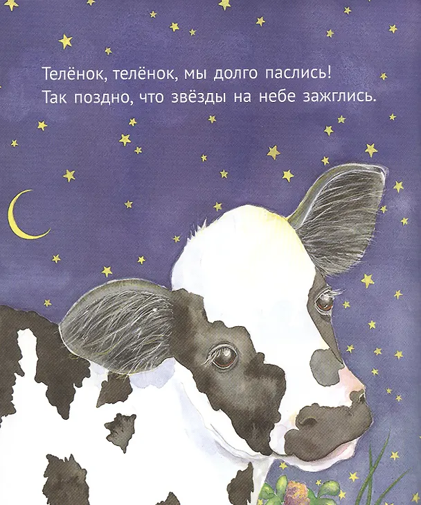 Книга Пора спать (Маргалит Фокс) — 4