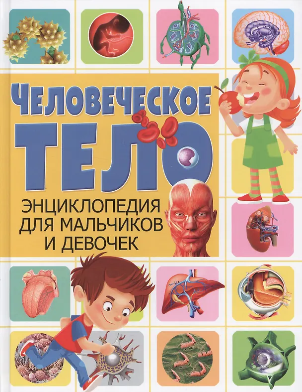 Книга Человеческое тело. Энциклопедия для мальчиков и девочек(МЕЛОВКА) () — 1