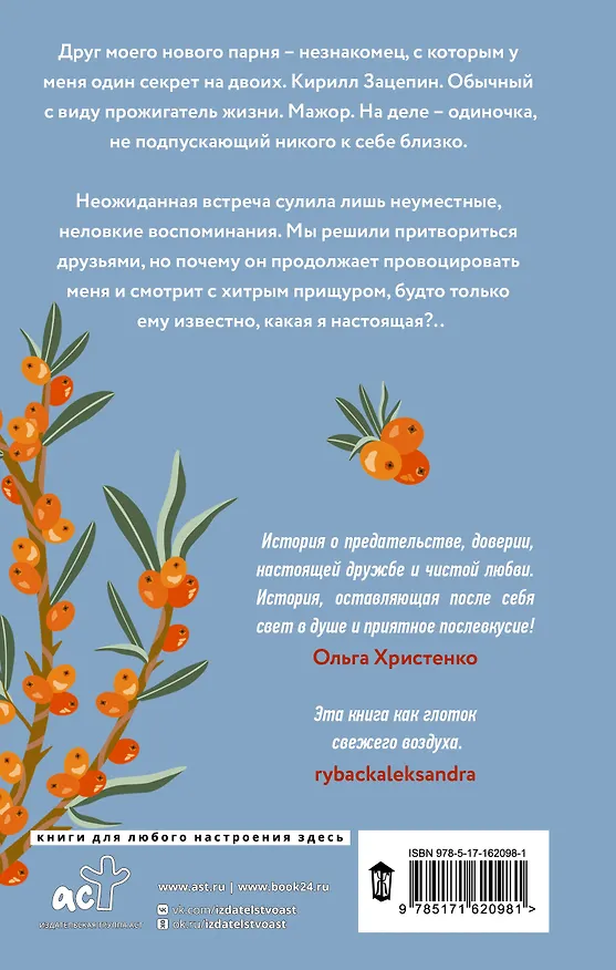 Книга Давай притворимся друзьями (Сонечка Мармеладова) — 2