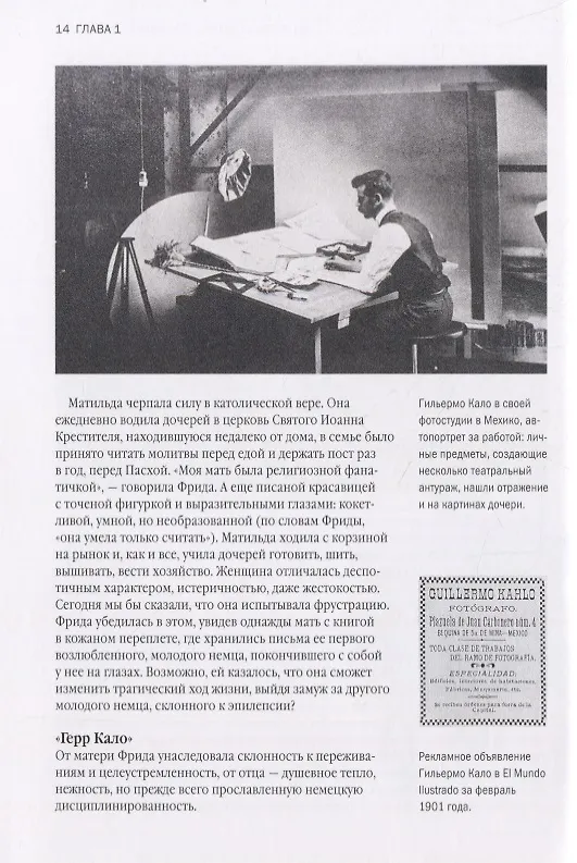 Книга Биография искусства. Viva la Фрида (Кристина Буррус) — 3