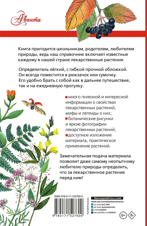 Книга Лекарственные растения России (Алексей Филин) — 2