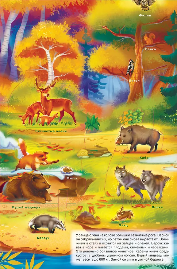 Книга Животные (Оксана Иванова) — 5