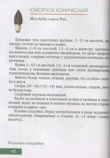 Книга Грибы () — 3