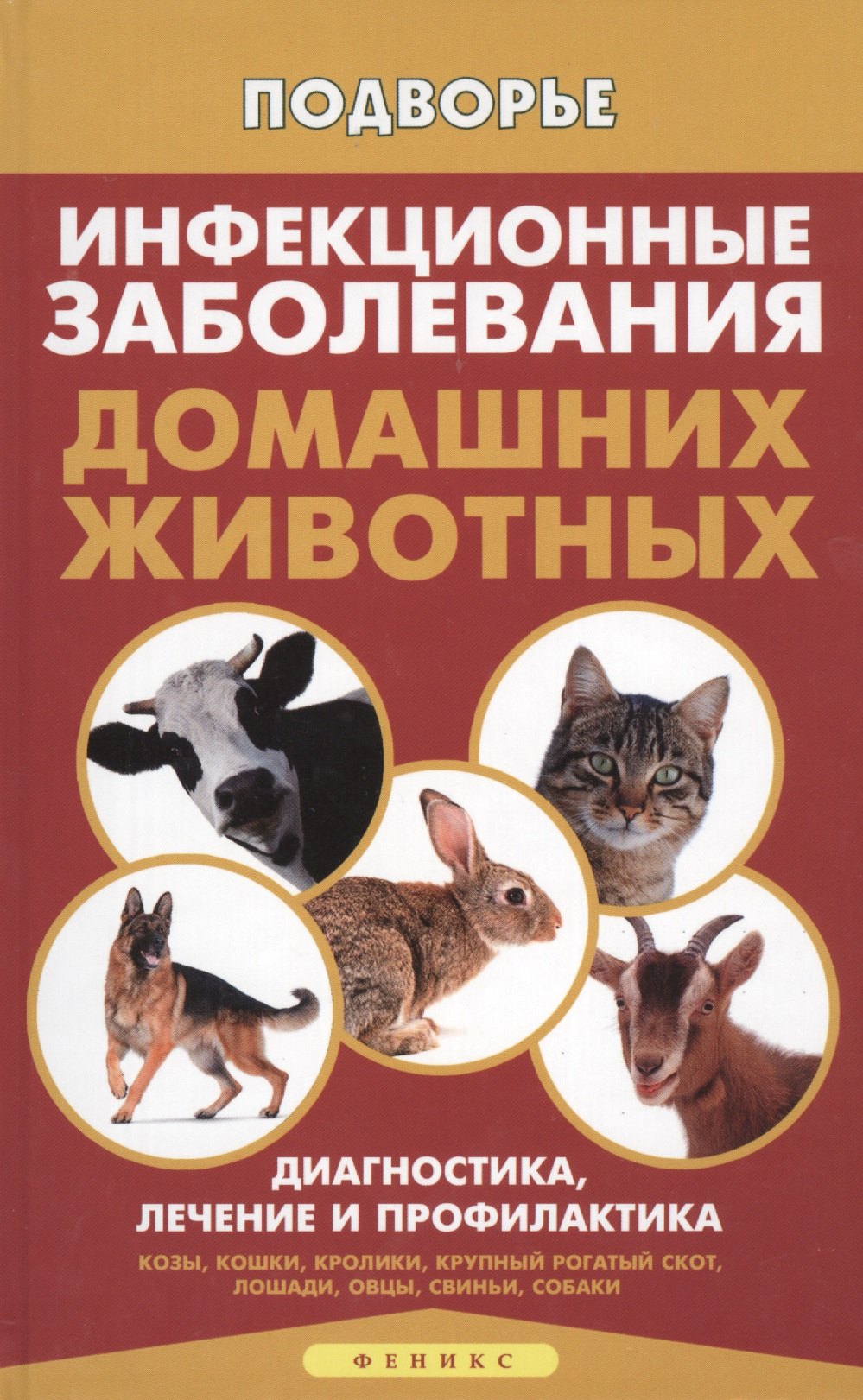 

Инфекционные заболевания домашних животных