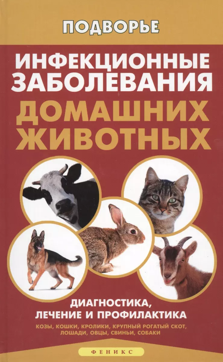 Инфекционные заболевания домашних животных (Л. Моисеенко) - купить книгу с  доставкой в интернет-магазине «Читай-город». ISBN: 978-5-222-24472-2