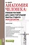 Анатомия человека Уч. пос. для самост. раб. студ. (Репетиториум) (Бакалавриат) Швырев (+эл.прил. на — 2588326 — 1