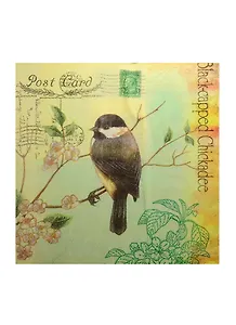 Салфетки бумажные Птичка на ветке (551152) (33х33см) (набор/20шт.) (Страна Карнавалия) (упаковка)