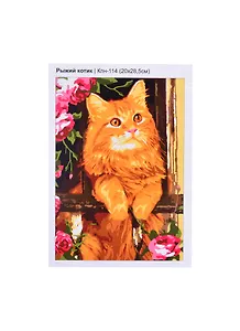 Картина-раскраска по номерам «Рыжий котик», 20 х 28 см, Рыжий Кот