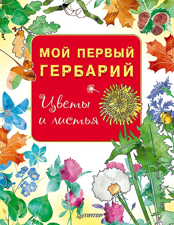 Книга Мой первый гербарий. Цветы и листья () — 1