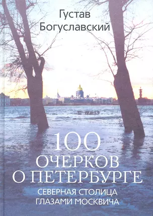 100 очерков о Петербурге. Северная столица глазами москвича — 2288910 — 1