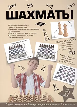 Шахматы — 2565513 — 1