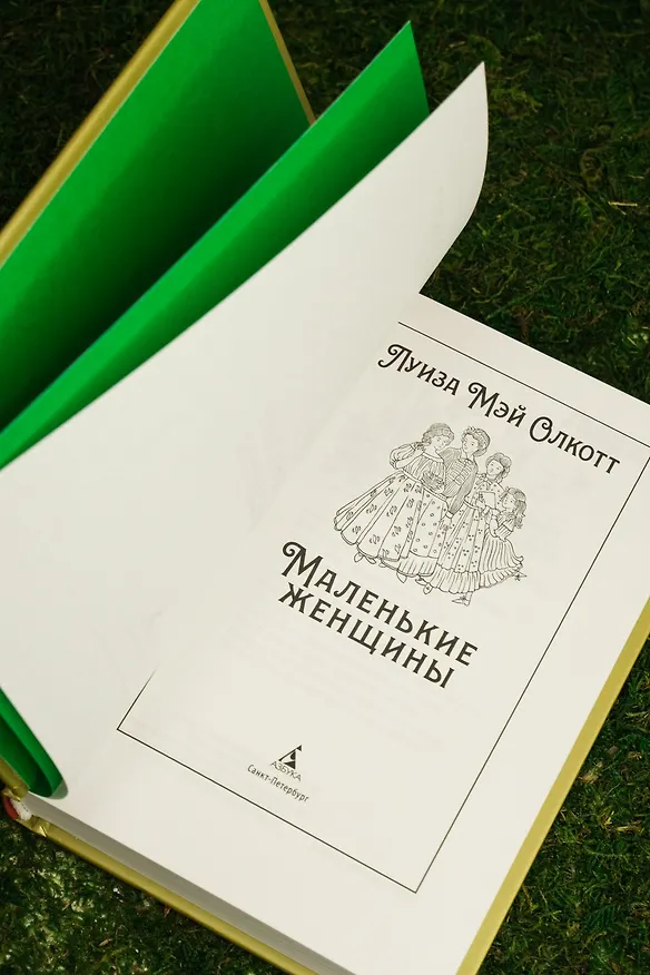 Книга Маленькие женщины (Луиза Мэй Олкотт) — 18
