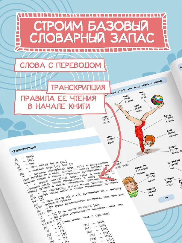 Книга 620 первых английских слов в иллюстрациях (Евгения Вьюницкая) — 6