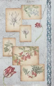 Рисовая бумага для декупажа "Ботанические зарисовки"