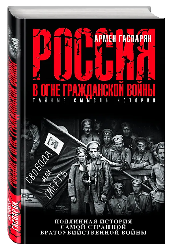 Книга Россия в огне Гражданской войны. Подлинная история самой страшной братоубийственной войны (Армен Гаспарян) — 4