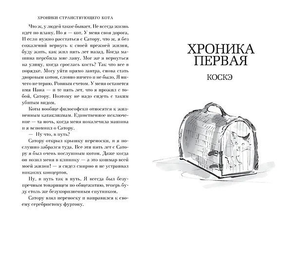 Книга Хроники странствующего кота (Хиро Арикава) — 13