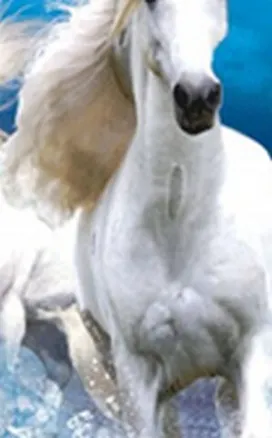 Закладка 3D 68 (Мир открытий) 2288108