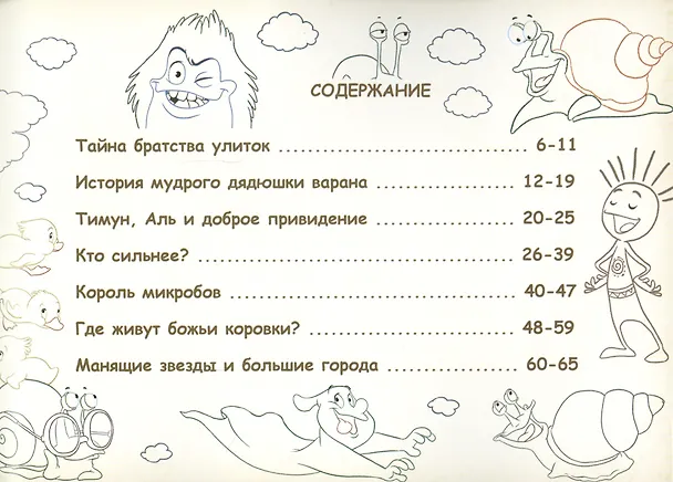 Книга Справедливый Дари. Приключения Тимуна в королевстве Итай. () — 2