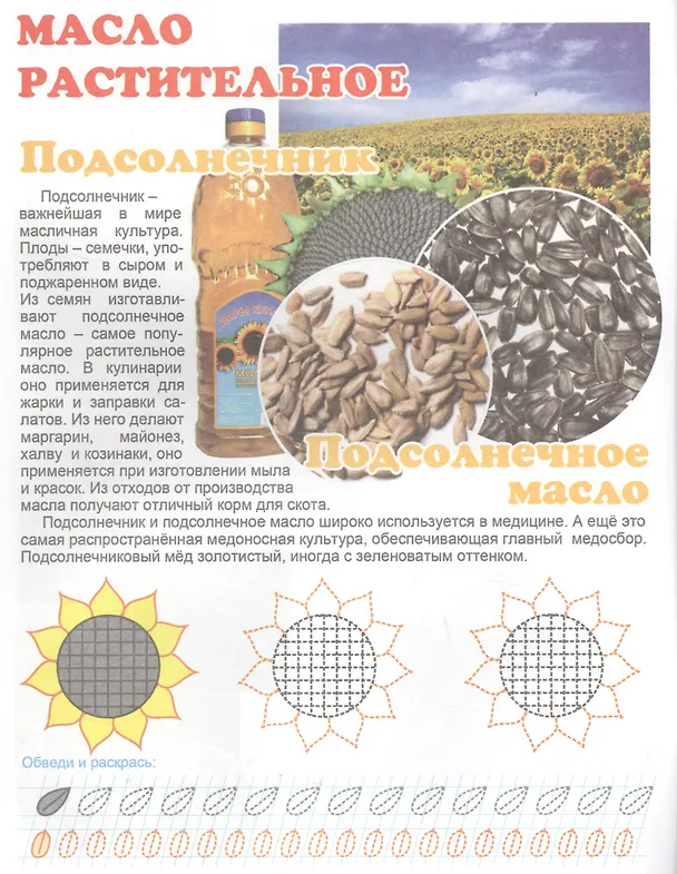 Книга Что у нас на столе? Для детей 4-6 лет () — 5