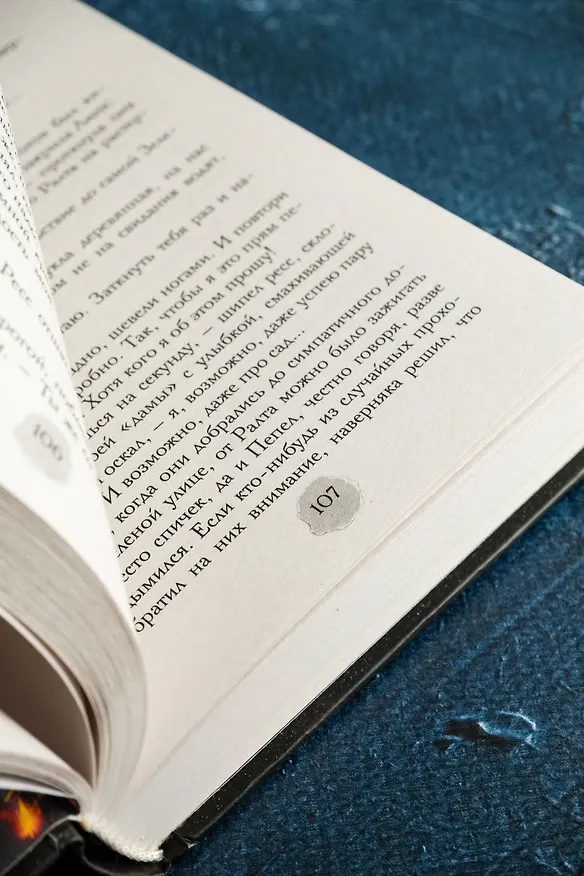 Книга В пепел. Кадет (Юлия Ода) — 13