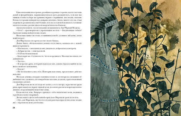 Книга Флибустьеры: роман (Густав Эмар) — 9