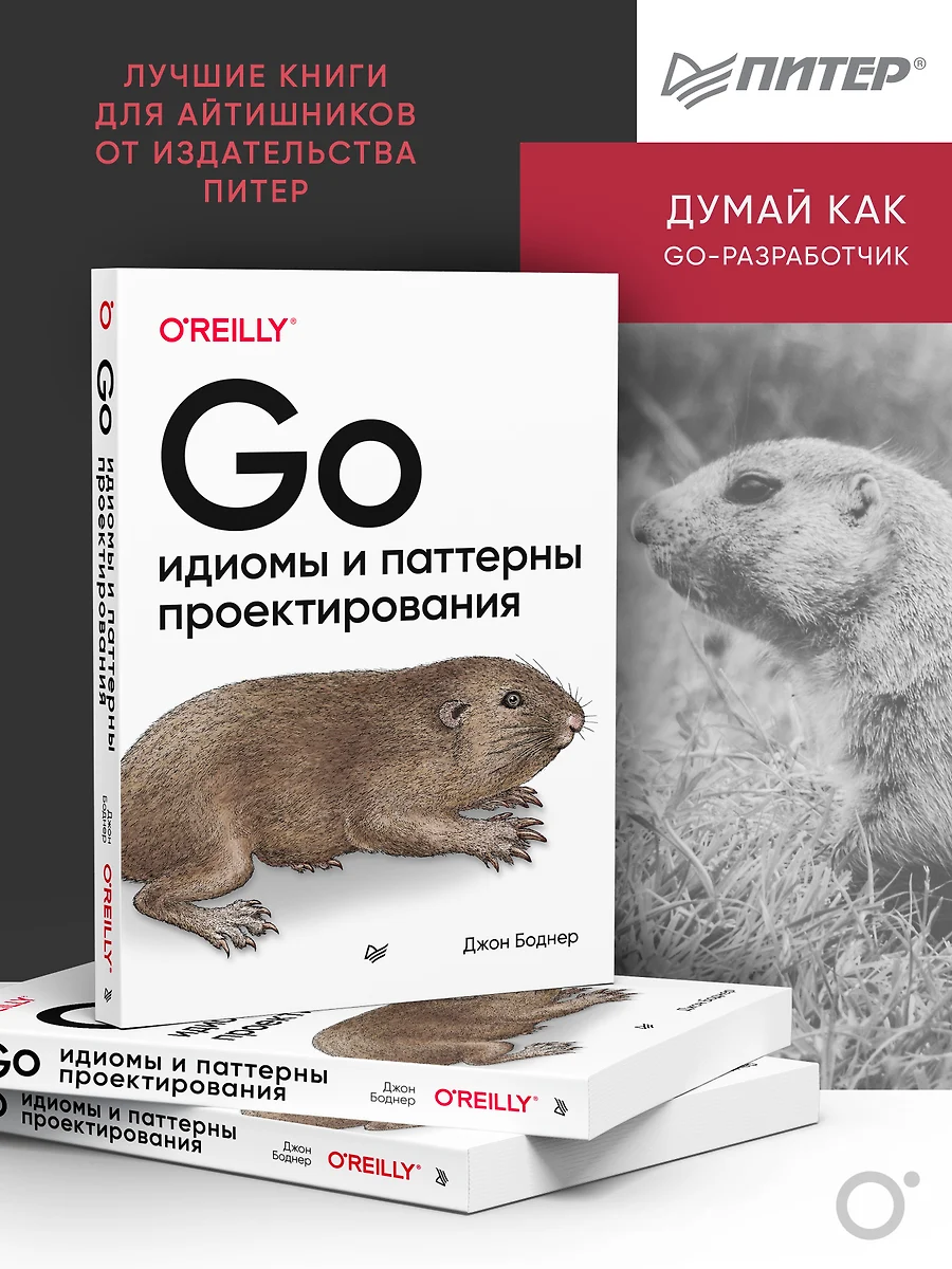 Go: идиомы и паттерны проектирования (Джон Боднер) - купить книгу с  доставкой в интернет-магазине «Читай-город». ISBN: 978-5-4461-1885-4