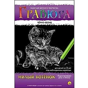 Набор для д/творч. Гравюра А4 в конверте Черно-белая Милый котенок (Г-4774) (6+) (Рыжий кот) (упаковка) 2533684