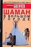 Шаман в большом городе, или Книга о приготовлении бысторастворимой магии 2079879 — 1