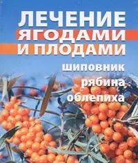 Лечение ягодами и плодами (рябина шиповник облепиха) (мал) (мягк). Батяева Т. (Виктория Плюс) — 2102673 — 1