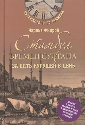 Стамбул времен султана за пять курушей в день — 2564480 — 1