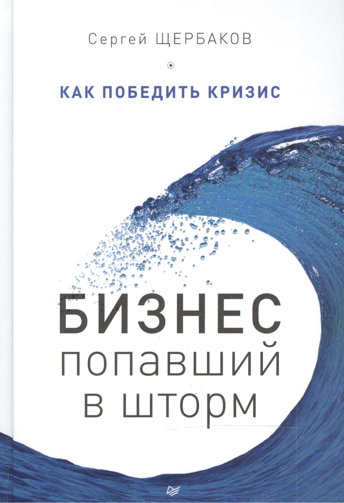 

Бизнес, попавший в шторм. Как победить кризис