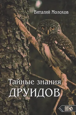 Книга Тайные знания друидов (Виталий Молохов)