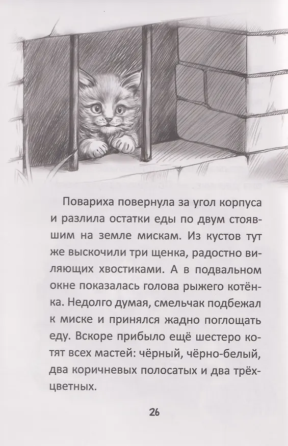 Книга Я тебя не брошу. Полосатое счастье (Ксения Коскина) — 3