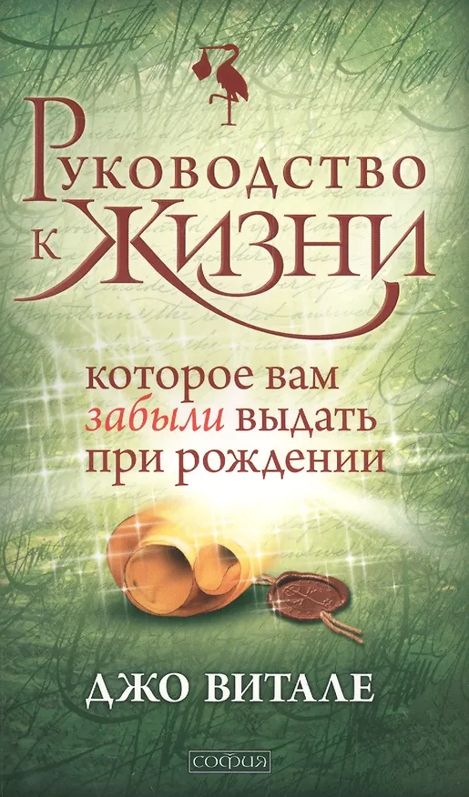 Книга Руководство к жизни, которое вам забыли выдать при рождении (Джо Витале) — 2