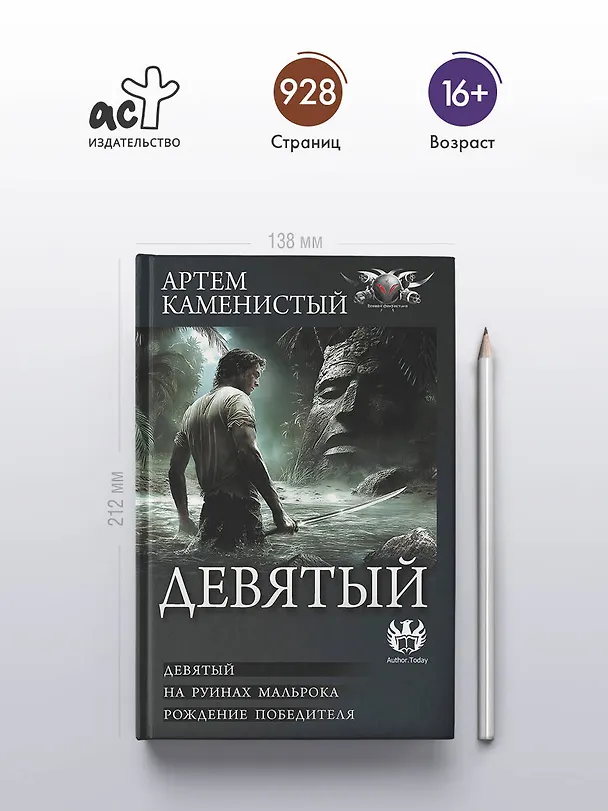 Книга Девятый (Артём Каменистый) — 6