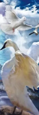 Закладка 3D (00097) (Мир открытий) 2303806