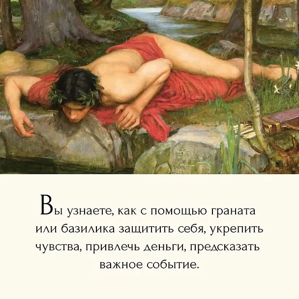 Книга Магия трав и волшебный бестиарий. Сборный комплект из 2-х книг с шоппером (Ипполита Дуглас Скотти ди Виголено, Сабрина Тонутти, Роберто Маркезини) — 12
